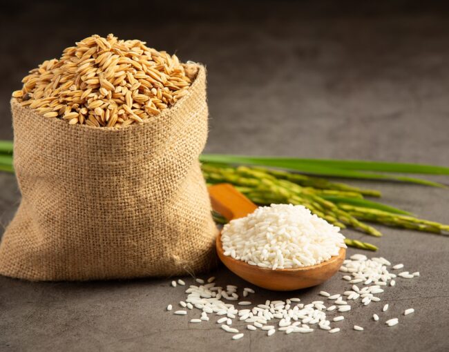 a sack of rice seed with white rice on small wooden spoon and ri a sack of rice seed with white rice on small wooden spoon and rice plant